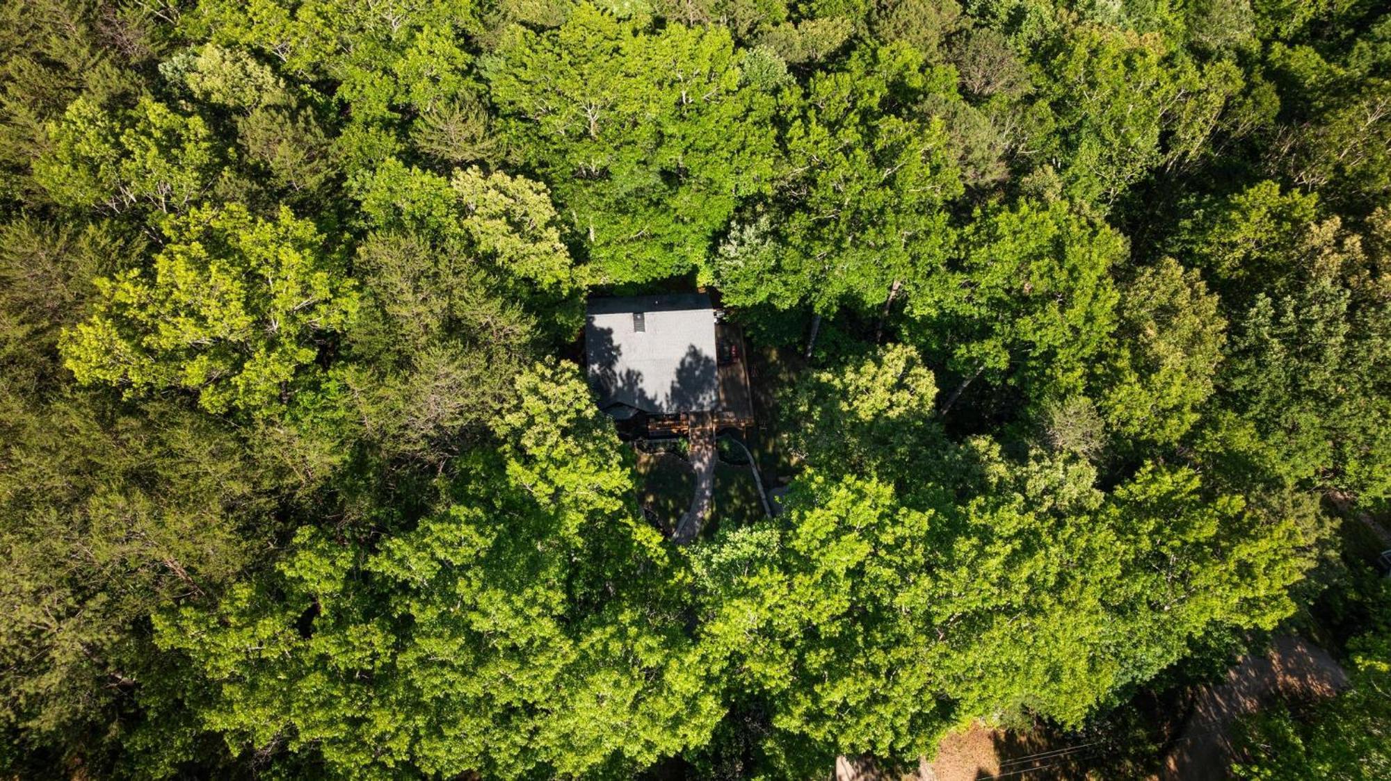 Serene Mountain And Sunset Views 3Bd Cabin แฟรงคลิน ภายนอก รูปภาพ